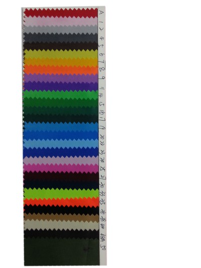 DG-BICG BC-4201 PL  背囊面料 正面照